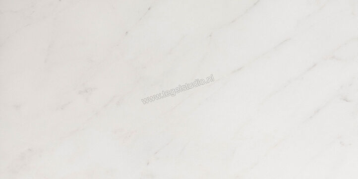 Keraben Evoque Blanco 30x60 cm Wandtegel Glanzend KJN05000 | 185182
