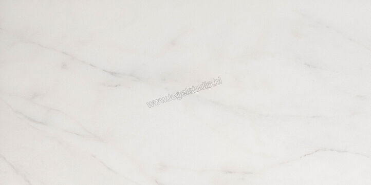 Keraben Evoque Blanco 30x60 cm Wandtegel Glanzend KJN05000 | 185197