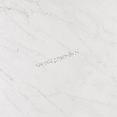 Keraben Evoque Blanco 60x60 cm Vloertegel / Wandtegel Mat GJN42000 | 185797
