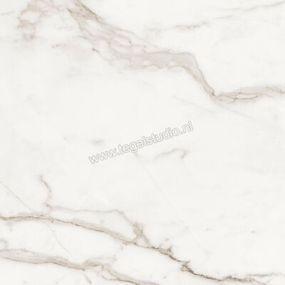 Love Tiles Precious Calacatta 60x60 cm Vloertegel / Wandtegel Glanzend Vlak 615.0048.001 | 190255