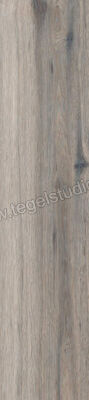 Sant Agostino Barkwood Ash 30x120 cm Vloertegel / Wandtegel Mat Vlak Naturale CSABA7AS30 | 191241