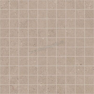 Sant Agostino Silkystone Taupe 30x30 cm Mozaiek Mat Vlak Naturale CSAMSLTA30 | 192087