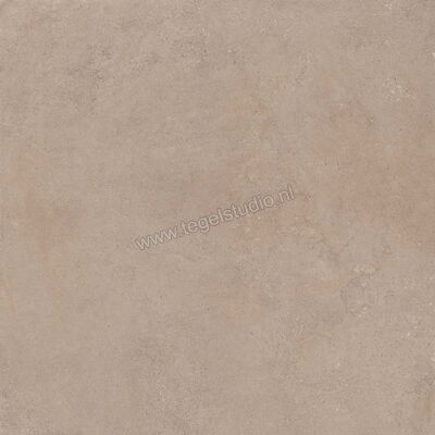 Sant Agostino Silkystone Taupe 120x120 cm Vloertegel / Wandtegel Mat Vlak Naturale CSASKSTA12 | 192102