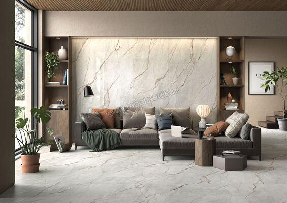 Imola Ceramica The Room grey roots GRE RO 120x120 cm Vloertegel / Wandtegel Mat Vlak Naturale GRE RO6 120 RM | 193565