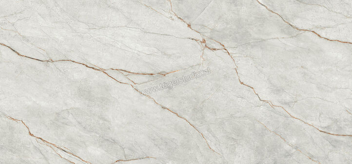  Imola Ceramica The Room Grey Roots 120x278 cm Vloertegel / Wandtegel Dikte: 6,5 mm Glanzend Vlak Lappato GRE RO6 278 LP | 193577