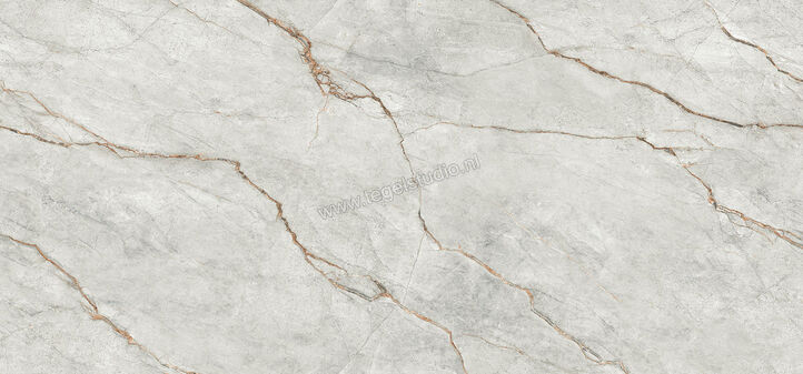  Imola Ceramica The Room Grey Roots 120x278 cm Vloertegel / Wandtegel Dikte: 6,5 mm Glanzend Vlak Lappato GRE RO6 278 LP | 193583