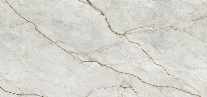  Imola Ceramica The Room Grey Roots 120x278 cm Vloertegel / Wandtegel Dikte: 6,5 mm Glanzend Vlak Lappato GRE RO6 278 LP | 193586