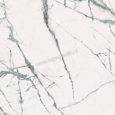 Imola Ceramica The Room inv white INV WH 120x120 cm Vloertegel / Wandtegel Mat Vlak Naturale INV WH6 120 RM | 193820