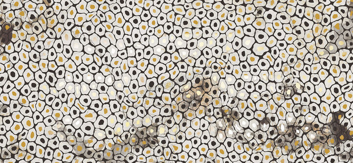  Imola Ceramica The Room Jaguar 120x278 cm Wandtegel Dikte: 6,5 mm Glanzend Vlak Lappato JAGUAR6 278LP | 193868