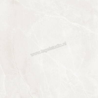 Imola Ceramica The Room onyx white absolute ABS WH 120x120 cm Vloertegel / Wandtegel Mat Vlak Naturale ABS WH6 120 RM | 193961