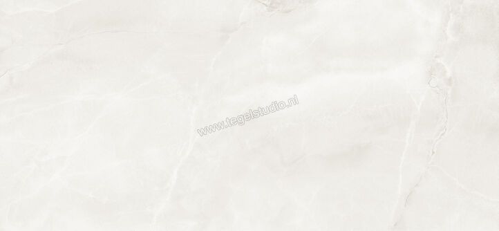  Imola Ceramica The Room Onyx White Absolute 120x278 cm Vloertegel / Wandtegel Dikte: 6,5 mm Glanzend Vlak Lappato ABS WH6 278 LP | 193976