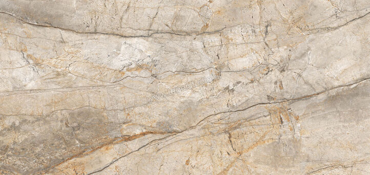  Imola Ceramica The Room San Pedro 120x278 cm Vloertegel / Wandtegel Dikte: 6,5 mm Glanzend Vlak Lappato SAN PE6 278 LP | 194228