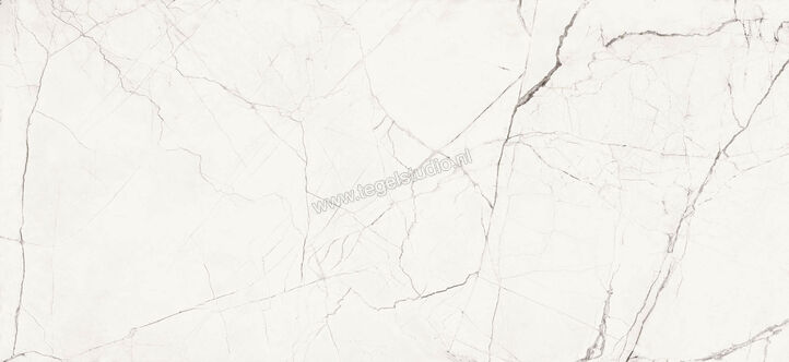 Imola Ceramica The Room Statuario Vena Piccola 120x278 cm Vloertegel / Wandtegel Dikte: 6,5 mm Mat Vlak Naturale STA VP6 278 RM | 194342