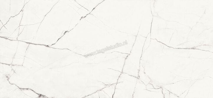  Imola Ceramica The Room Statuario Vena Piccola 120x278 cm Vloertegel / Wandtegel Dikte: 6,5 mm Mat Vlak Naturale STA VP6 278 RM | 194348