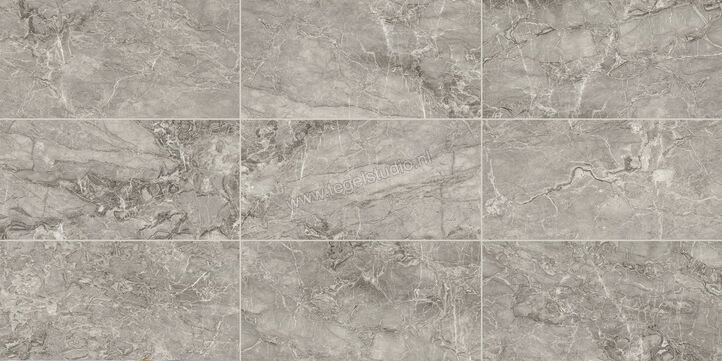  Imola Ceramica The Room Gris Breche 120x278 cm Vloertegel / Wandtegel Dikte: 6,5 mm Glanzend Vlak Lappato BRE DU6 278 LP | 194450