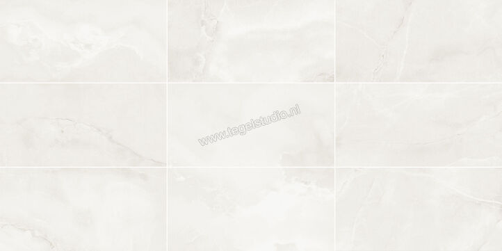  Imola Ceramica The Room Onyx White Absolute 120x278 cm Vloertegel / Wandtegel Dikte: 6,5 mm Glanzend Vlak Lappato ABS WH6 278 LP | 194480