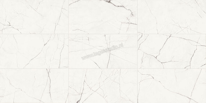  Imola Ceramica The Room Statuario Vena Piccola 120x278 cm Vloertegel / Wandtegel Dikte: 6,5 mm Mat Vlak Naturale STA VP6 278 RM | 194528