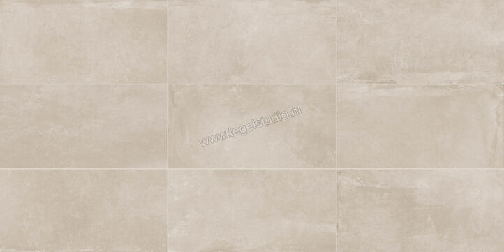 Imola Ceramica Azuma Cg 30x60 cm Vloertegel / Wandtegel Mat Vlak Naturale AZMA 36CG RM | 198188