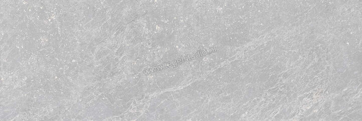 Keraben Bleuemix Grey 40x120 cm Wandtegel Mat Vlak Naturale R0001634 | 200686