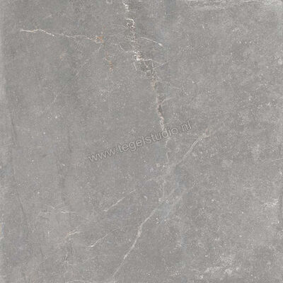 Keraben Bleuemix Grey 60x60 cm Vloertegel / Wandtegel Mat Vlak Naturale P0004195 | 200707