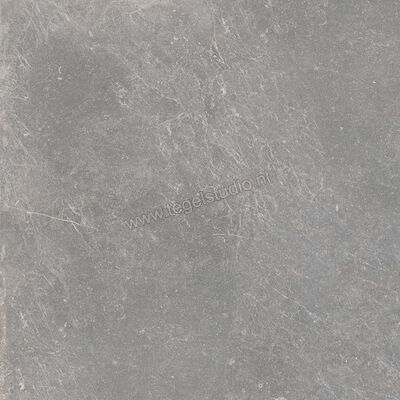 Keraben Bleuemix Grey 60x60 cm Vloertegel / Wandtegel Mat Vlak Naturale P0004195 | 200713