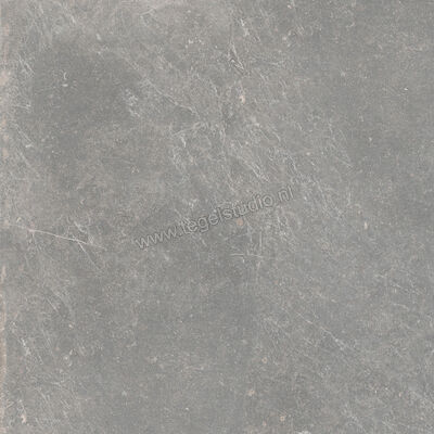 Keraben Bleuemix Grey 90x90 cm Vloertegel / Wandtegel Mat Vlak Naturale P0003691 | 200728