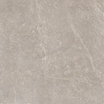 Keraben Bleuemix Taupe 90x90 cm Vloertegel / Wandtegel Mat Vlak Naturale P0003690 | 200824