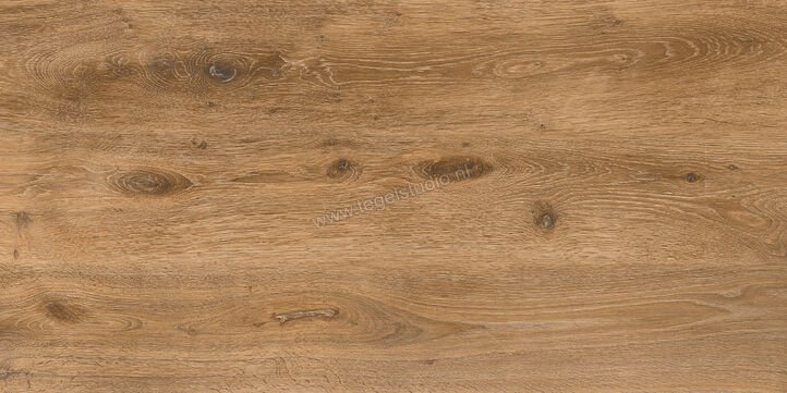 Keraben Naturwood Brandy 60x120 cm Vloertegel / Wandtegel Mat Gestructureerd P0003101 | 201211