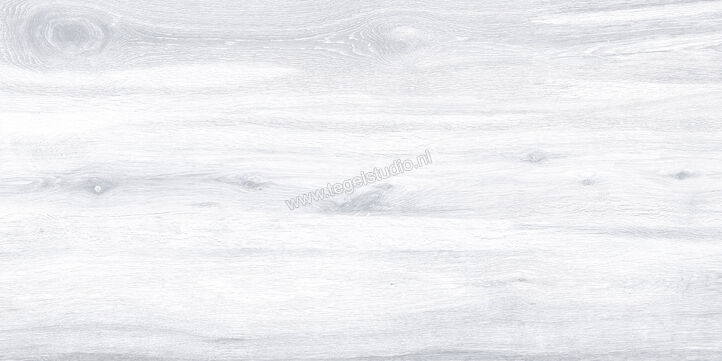 Keraben Naturwood Ice 60x120 cm Vloertegel / Wandtegel antislip Mat Gestructureerd P0003105 | 201214