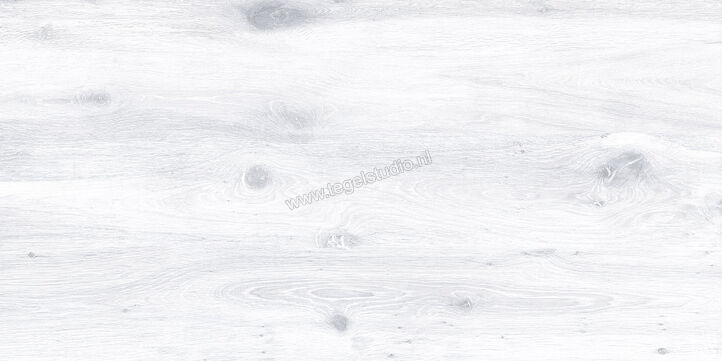 Keraben Naturwood Ice 60x120 cm Vloertegel / Wandtegel antislip Mat Gestructureerd P0003105 | 201217