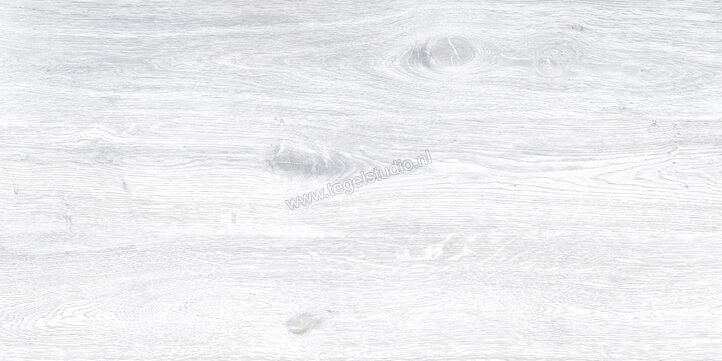 Keraben Naturwood Ice 60x120 cm Vloertegel / Wandtegel antislip Mat Gestructureerd P0003105 | 201220