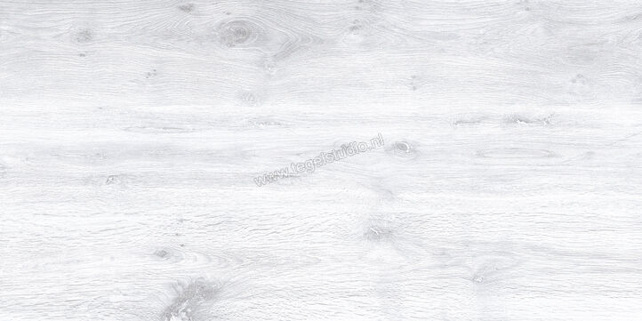 Keraben Naturwood Ice 60x120 cm Vloertegel / Wandtegel antislip Mat Gestructureerd P0003105 | 201226