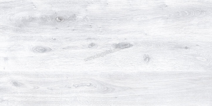 Keraben Naturwood Ice 60x120 cm Vloertegel / Wandtegel antislip Mat Gestructureerd P0003105 | 201229