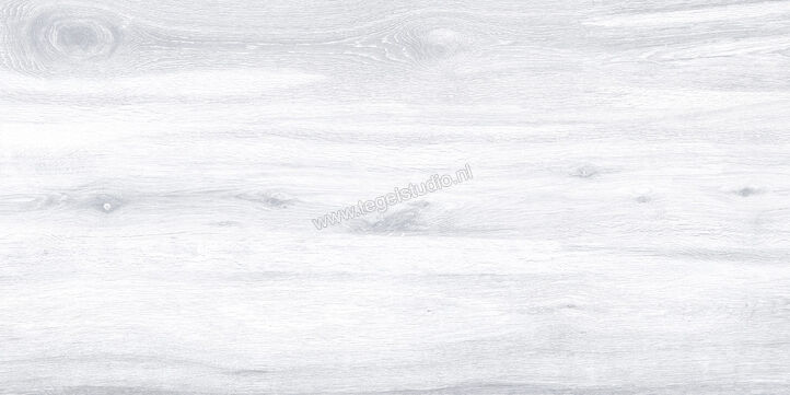 Keraben Naturwood Ice 60x120 cm Vloertegel / Wandtegel Mat Gestructureerd P0003100 | 201232