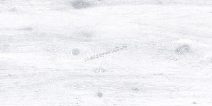 Keraben Naturwood Ice 60x120 cm Vloertegel / Wandtegel Mat Gestructureerd P0003100 | 201235