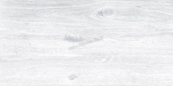Keraben Naturwood Ice 60x120 cm Vloertegel / Wandtegel Mat Gestructureerd P0003100 | 201238