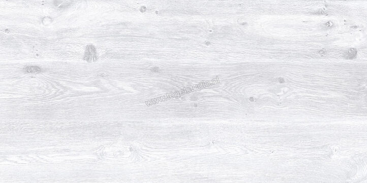 Keraben Naturwood Ice 60x120 cm Vloertegel / Wandtegel Mat Gestructureerd P0003100 | 201241