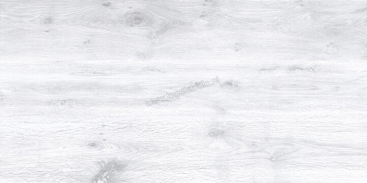 Keraben Naturwood Ice 60x120 cm Vloertegel / Wandtegel Mat Gestructureerd P0003100 | 201244