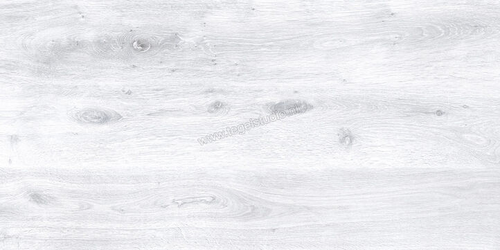 Keraben Naturwood Ice 60x120 cm Vloertegel / Wandtegel Mat Gestructureerd P0003100 | 201247