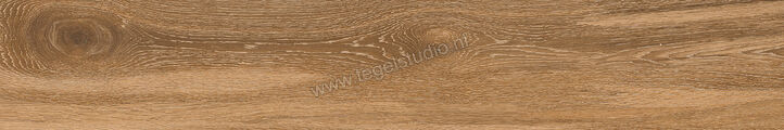 Keraben Naturwood Brandy 20x120 cm Vloertegel / Wandtegel antislip Mat Gestructureerd P0002482 | 201418