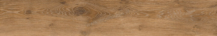 Keraben Naturwood Brandy 20x120 cm Vloertegel / Wandtegel Mat Gestructureerd P0002477 | 201442