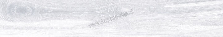 Keraben Naturwood Ice 20x120 cm Vloertegel / Wandtegel antislip Mat Gestructureerd P0002481 | 201451
