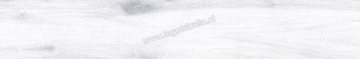Keraben Naturwood Ice 20x120 cm Vloertegel / Wandtegel antislip Mat Gestructureerd P0002481 | 201454