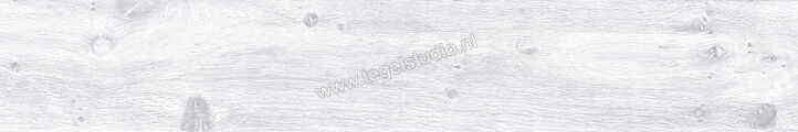 Keraben Naturwood Ice 20x120 cm Vloertegel / Wandtegel antislip Mat Gestructureerd P0002481 | 201460
