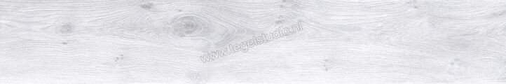 Keraben Naturwood Ice 20x120 cm Vloertegel / Wandtegel antislip Mat Gestructureerd P0002481 | 201463