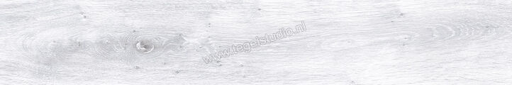 Keraben Naturwood Ice 20x120 cm Vloertegel / Wandtegel antislip Mat Gestructureerd P0002481 | 201466