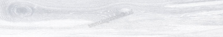 Keraben Naturwood Ice 20x120 cm Vloertegel / Wandtegel Mat Gestructureerd P0002476 | 201469