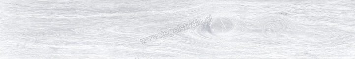 Keraben Naturwood Ice 20x120 cm Vloertegel / Wandtegel Mat Gestructureerd P0002476 | 201475