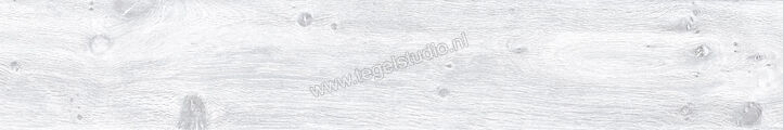 Keraben Naturwood Ice 20x120 cm Vloertegel / Wandtegel Mat Gestructureerd P0002476 | 201478