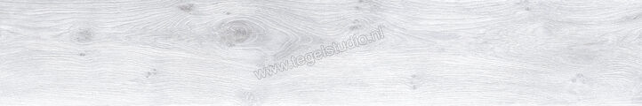 Keraben Naturwood Ice 20x120 cm Vloertegel / Wandtegel Mat Gestructureerd P0002476 | 201481